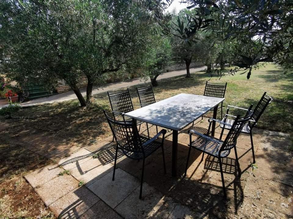 Ferienwohnung App Carla Novigrad Istria Exterior foto