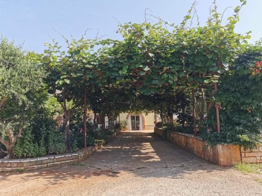 Ferienwohnung App Carla Novigrad Istria Exterior foto